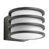 Philips Hue Lucca Outdoor Wall Light
