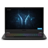 Refurbished Medion Erazer X17801 Core i7-9750H 16GB 1TB & 256GB GTX 1660Ti 17.3 Inch Windows 10 Gaming Laptop