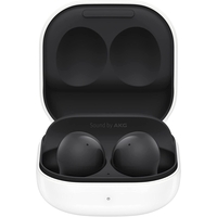 Samsung Galaxy Buds2 Graphite