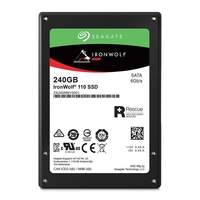 Seagate Ironwolf 110 240GB SSD