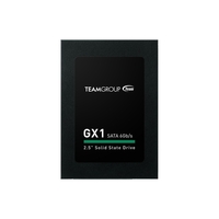 Team GX1 240GB SATA III SSD