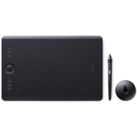 Wacom Intuos Pro Medium 13