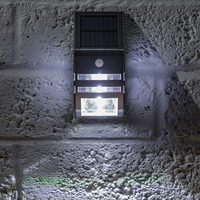 365 Solar LED Flush Wall Light with PIR Sensor - Stainless Steel