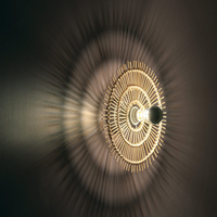 Edit Spectacle Flush Wall Light with Plug - Rattan