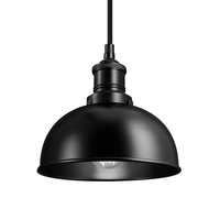 Industville Brooklyn 8 Inch Dome Ceiling Pendant Light - Black