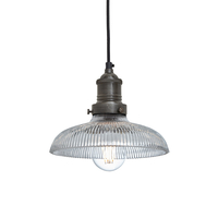 Industville Brooklyn 8 Inch Glass Dome Ceiling Pendant Light - Pewter