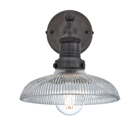 Industville Brooklyn 8 Inch Glass Dome Wall Light - Pewter