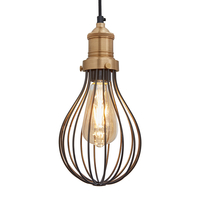 Industville Brooklyn Balloon Cage Ceiling Pendant Light - Pewter & Brass