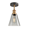 Industville Brooklyn Flask 6 Inch Semi-Flush Ceiling Light - Smoke Grey & Brass