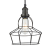 Industville Brooklyn Wire Cage Rose Ceiling Pendant Light - Pewter