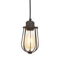 Industville Orlando Wire Cage Ceiling Pendant Light - Pewter