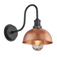 Industville Swan Neck 8 Inch Dome IP65 Wall Light - Copper & Pewter