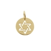 9ct Yellow Gold Plated Star Of David Disc Pendant