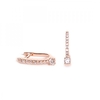 Rose Gold Plated Mini Line Drop Earrings
