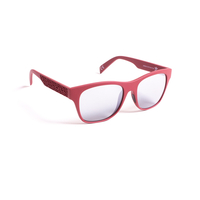 Adidas Originals Wayfarer Bordeuax Sunglasses