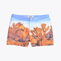 Original Penguin Crystal Blue Desert Swim Shorts