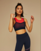Tommy Sport Navy/Hibiscus Mid Blocked Stars Layer Bra