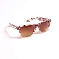 UO Wayfarer Brown Wood Resin Sunglasses