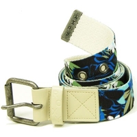 Belt It Up Web Belt