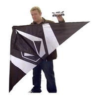 Delta Kite