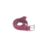 Fisk Belt