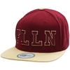 Forge New Era Snapback Cap - Cordovan/Parchment