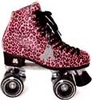 Ivy City Quad Roller Skates