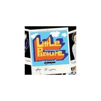 Little Picture DVD