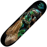 Peralta Flight™ LB Cuckoo Bee 8Inch Skateboard Deck