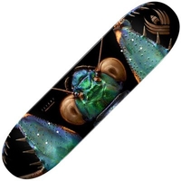 Peralta Flight™ LB Iridescent Bark Mantis 8.75Inch Skateboard Deck