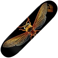 Peralta Flight™ LB Potter Wasp 8Inch Skateboard Deck