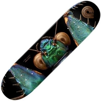 Peralta LB Iridescent Bark Mantis 245 8.75inch Skateboard Deck