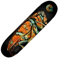 Peralta LB Jewel Longhorn Beetle 246 9inch Skateboard Deck