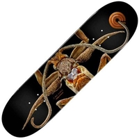 Peralta LB Marion Flightless Moth 243 8.25inch Skateboard Deck