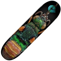 Peralta LB Ruby Tailed Wasp 244 8.5inch Skateboard Deck