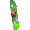 Poison Tree Frog 243 Birch 8.25inch Complete Skateboard - Multi