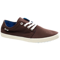 Red Belly Toffee/Hawaiian Shoe