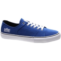 RLS x Sheep Blue Shoe