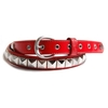 Single Blood/Silver Belt