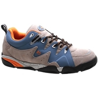 Symbol Tan/Blue Shoe
