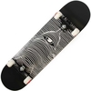 Toy Division Complete Skateboard