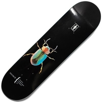 Tyler Pacheco Beetle V2 8.125inch Skateboard Deck