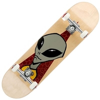 Visitor Natural 8.125inch Complete Skateboard