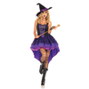 2 Piece Broomstick Babe Costume Set
