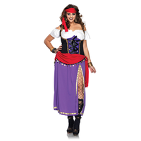 2 Piece Plus Size Traveling Gypsy Costume Set