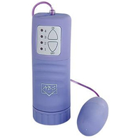 Aqua Silk Purple Bullet