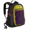 The North Face Rucksack North Face Borealis Backpack - Deep Purple ~ Black
