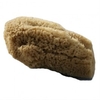 beaming baby Organic Baby Sea Sponge,  Large Natural