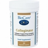 Biocare Colleginase 60 Capsules