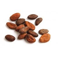 Detox Your World Organic Cacao Beans 100g